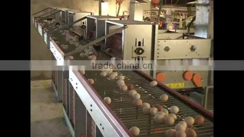 VIET NAM BROWN CHICKEN EGGS