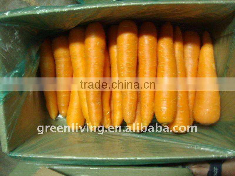 we export 2015 new harvest fresh carrot / competitive price