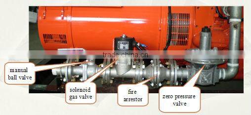 CE approved gas power plant/gas genset power plant/biogas,landfill gas,coal bed methane