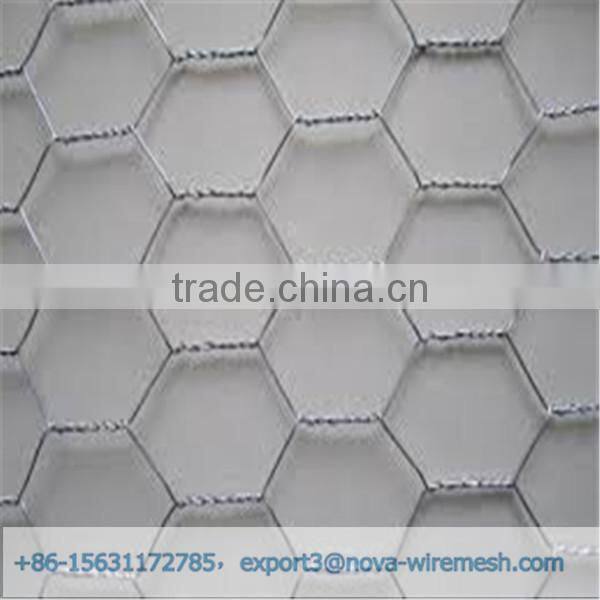 Low cost hexagonal netting /chicken wire mesh/ poultry hexagonal netting for sale