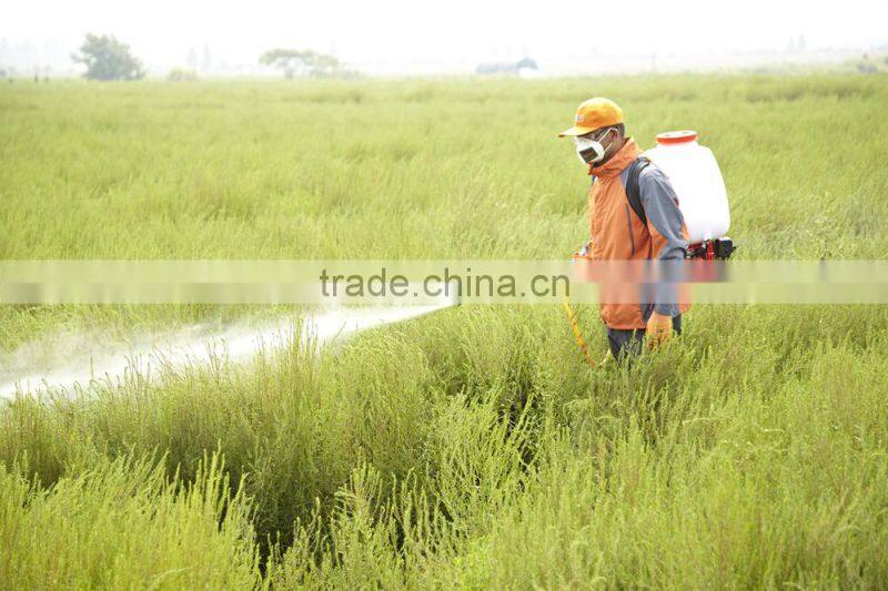 Hot Sale QL-767 Power Sprayer