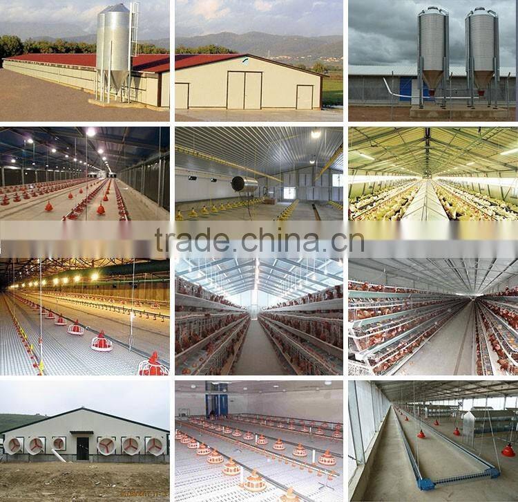 Prefabricated Light Steel Frame Poultry Chicken House