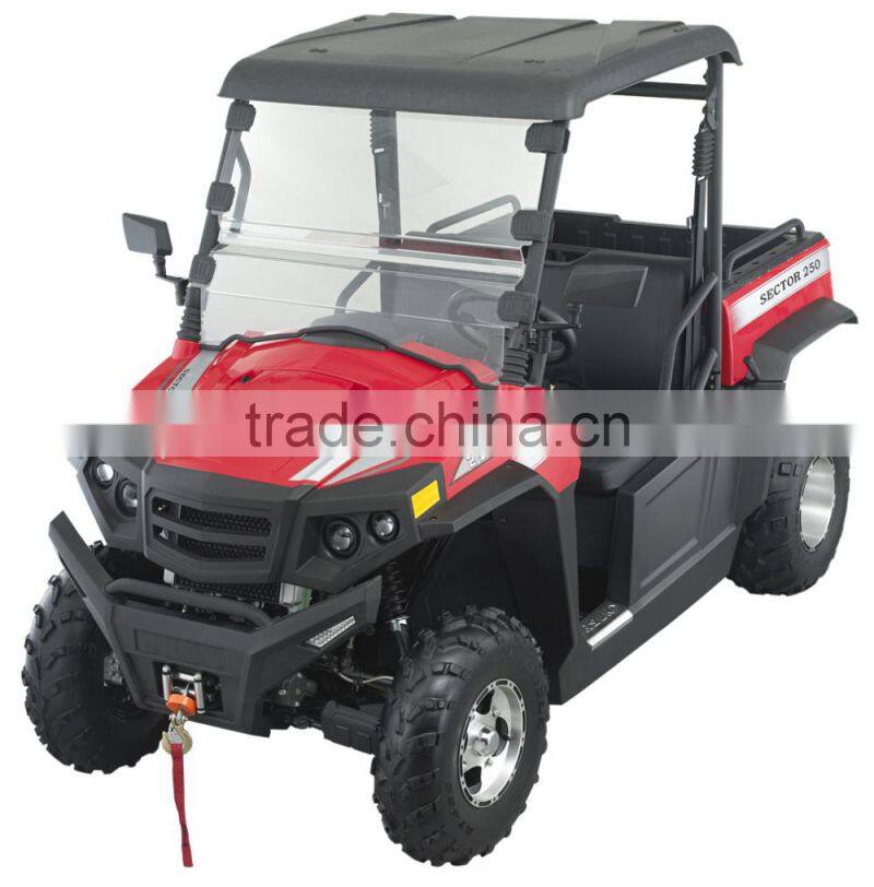 250cc 12KW EFI engine UTV Utility Vehicle (TKU250E-2B)