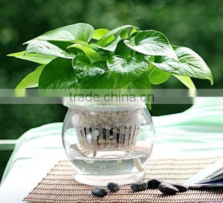 20 years old custom good quality plastic flower pot mould