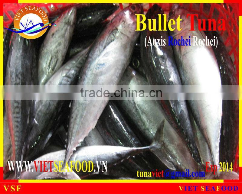 FROZEN W/R BULLET TUNA