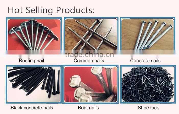 polish common wire nails