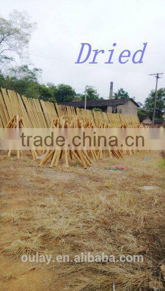 bamboo garden sticks /bamboo poles/bamboo canes