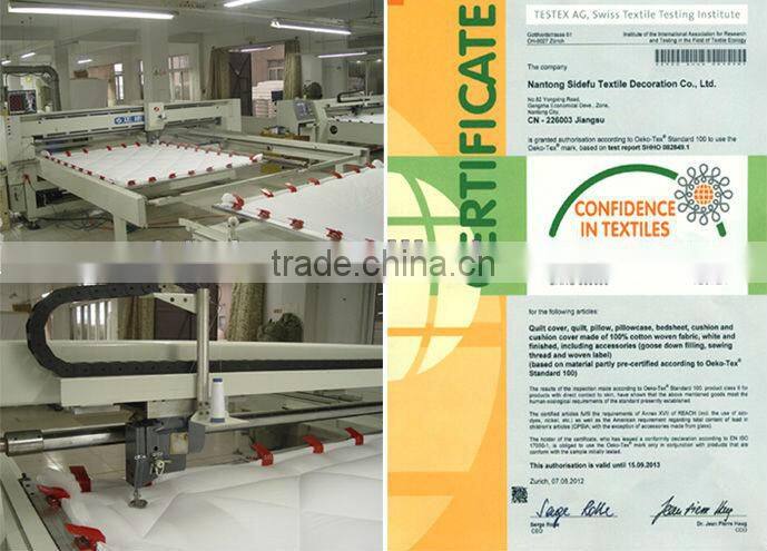 Cotton Luxury Bedding Set (SDF-2013NC008-DWWG)