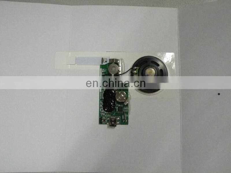 6 Sec To 60 Sec USB Mp3 Module With Slide Switch For Greeting Cards