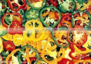 Widely used professional vegetable chopper/vegetable shredder/fruit and vegetable cutting machine