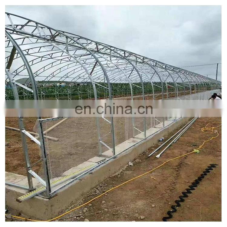 High quality cheap price agricultural indoor solar greenhouse frame with plastic sheet tent