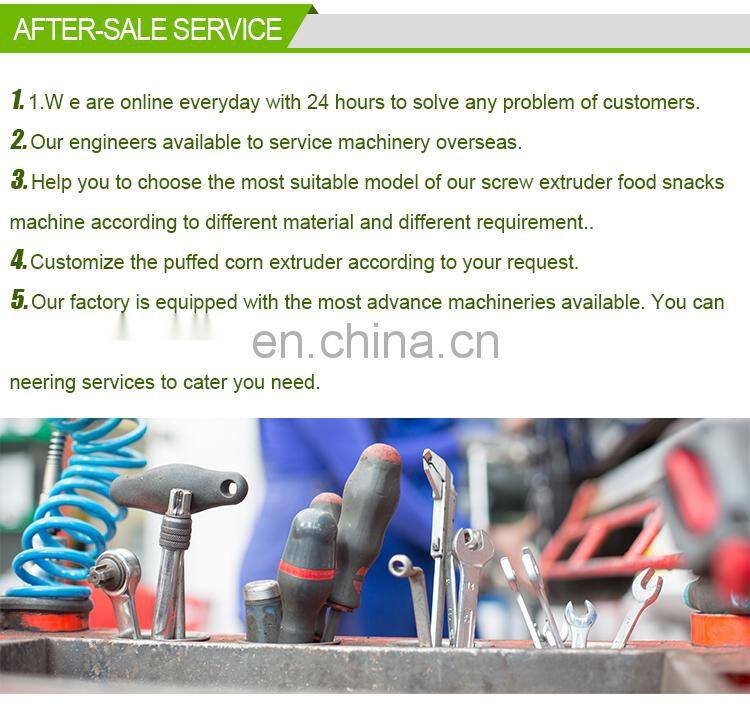 Runxiang Fogging Machine Sprayer  Fogger Mini Fog Machine Price