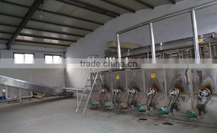 new raw peanut materail roast peanut in shell price