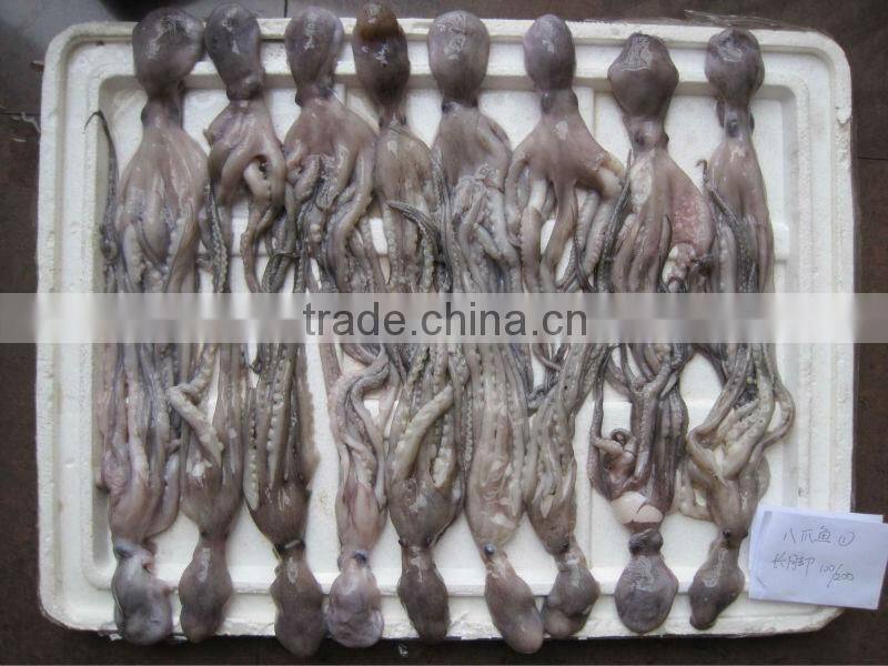 Frozen Long-legged Octopus