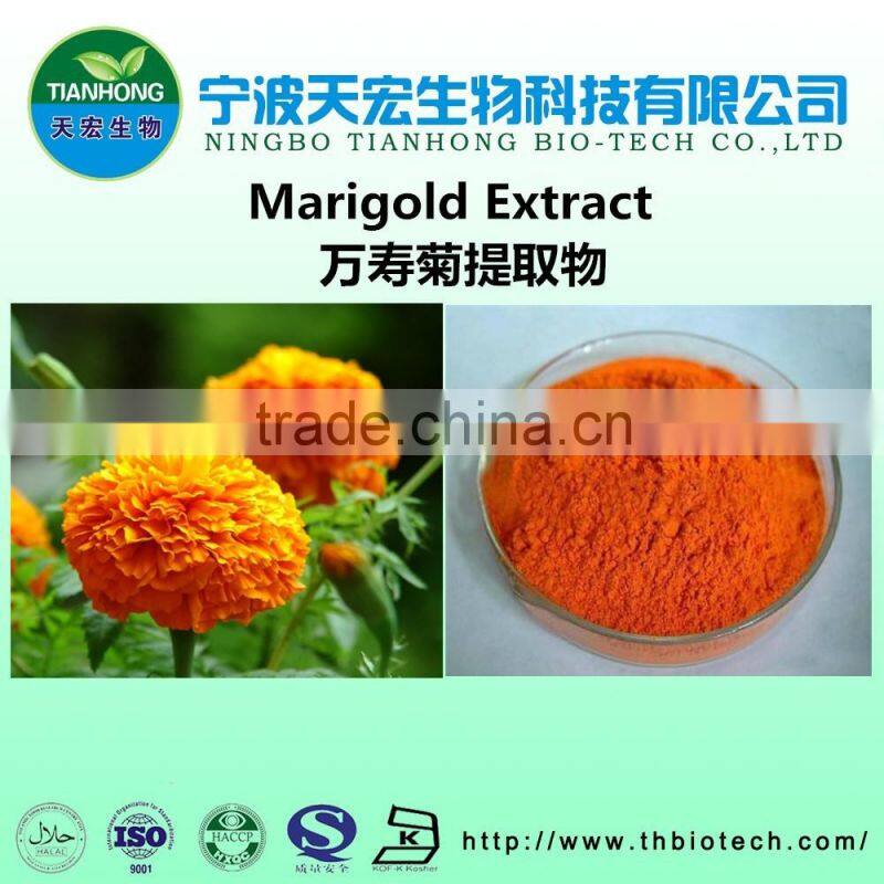 professional manufacturer of marigold extract powder
