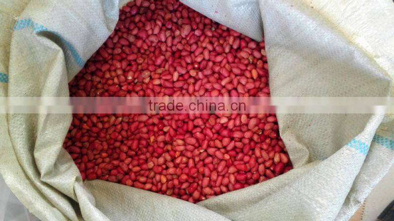 Four Red skin high quality peanuts from china