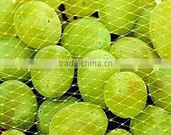 Plastic Stretch Mesh Production Line