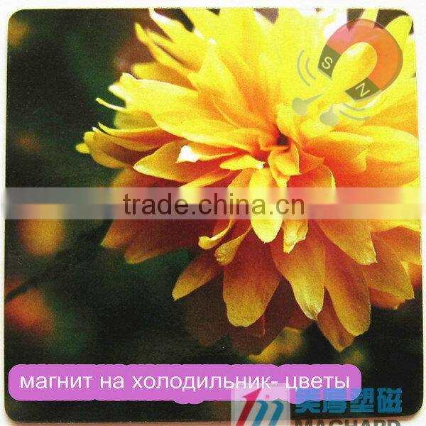 promotional refrigerator magnetic products