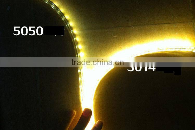 AC 220V LED Strip SMD 3014 240LED/M Warm white Waterproof IP67 100M/Roll with One Set Free AC Plug Cable Super Bright New
