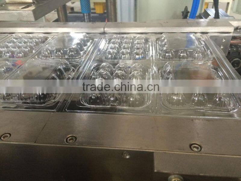 DB-520B Automatic Plastic Raising Seedling Tray Thermoforming Machine