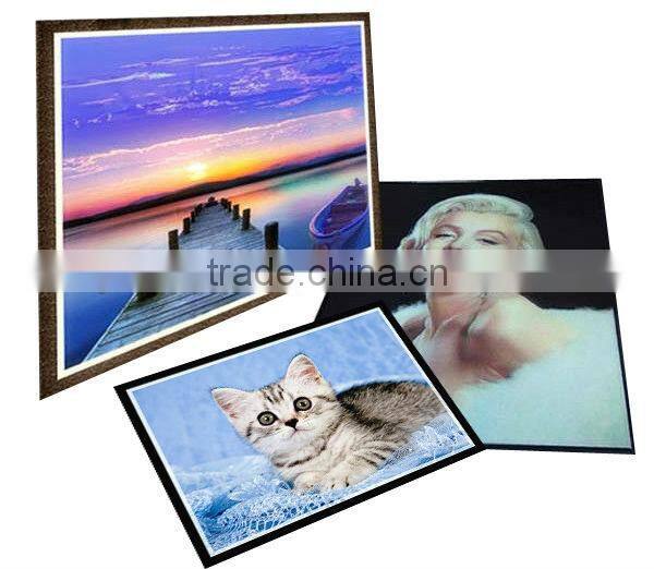Religoin Custom 3D lenticular picture with Frame 3D art