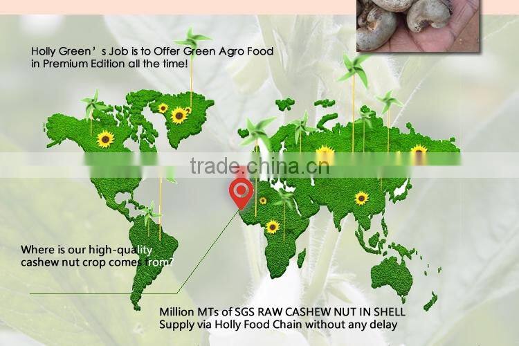 RCN/Cheap Raw Cashew Nuts in shell/African Cashew low price Outturn 47-52 Lbs/80 KGS Min(skype: ste.nanking)