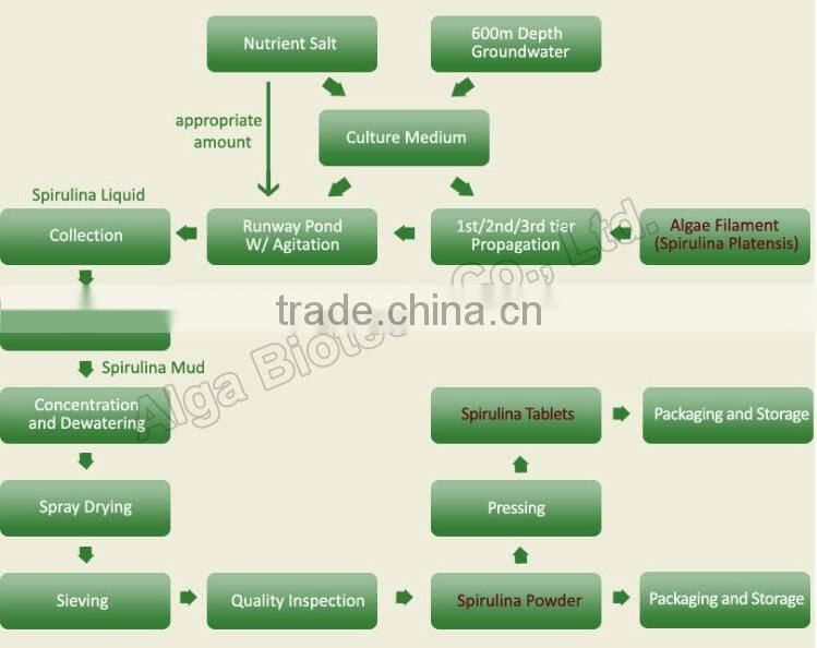 250mg pure chlorella tablets