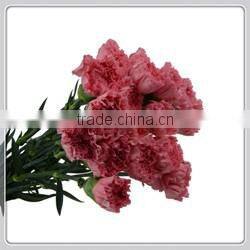 Quality wholesale yellow natural orchid flower with 0.3kg/bundle from Yunnan, China
