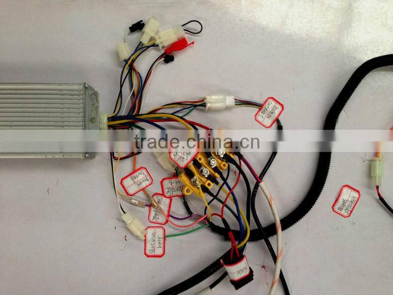 48v 800W electric tricycle