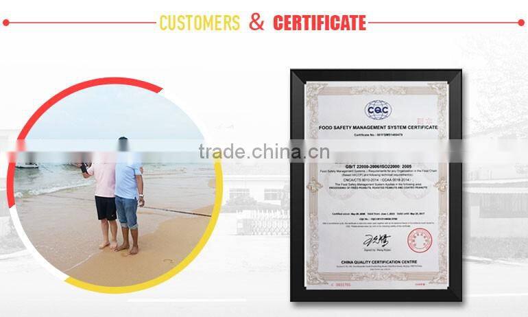 Strong Quality Factory Fair Price coated peanut processing plant