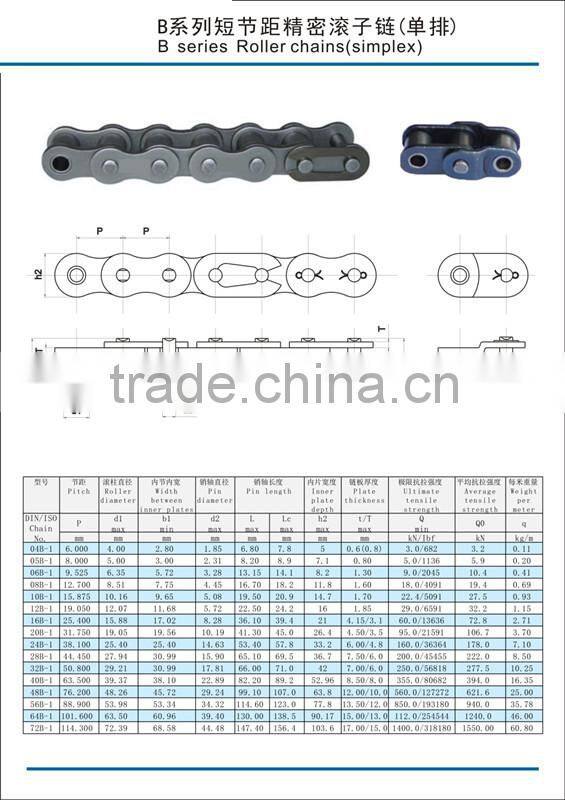 Short Pitch A & B Series Roller Chain