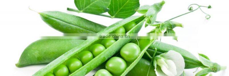 BRC,OU KOSHER ,HALAL certificates IQF green peas