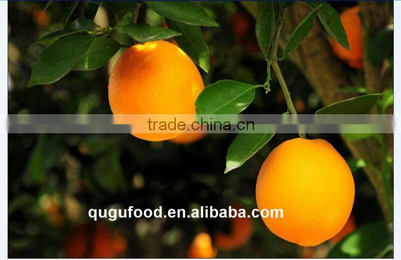2014 New crop orange jam manufacturer wholesale