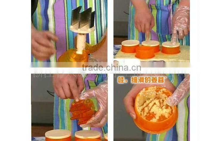 Stainless steel blades manual plastic vegetable chopper