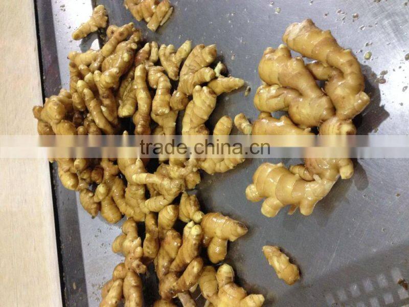 Big Size Yellow Fresh Ginger From China