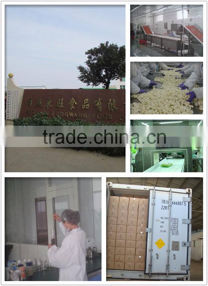 IQF Frozen Ginger paste 20g