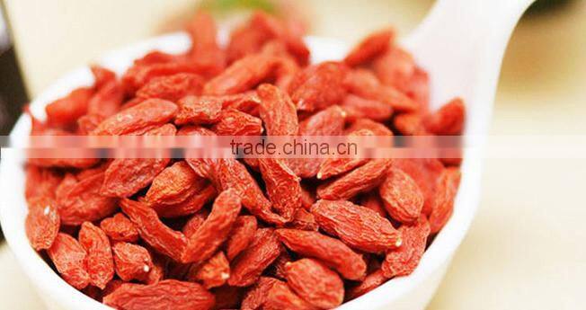 2016 high quality goji berry ningxia goji berry