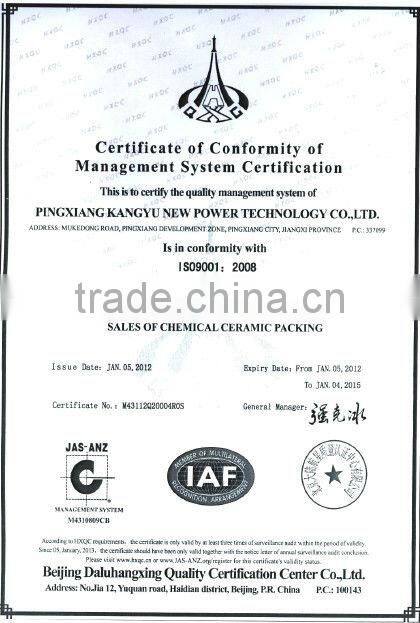 Ceramic Pall Ring Packing
