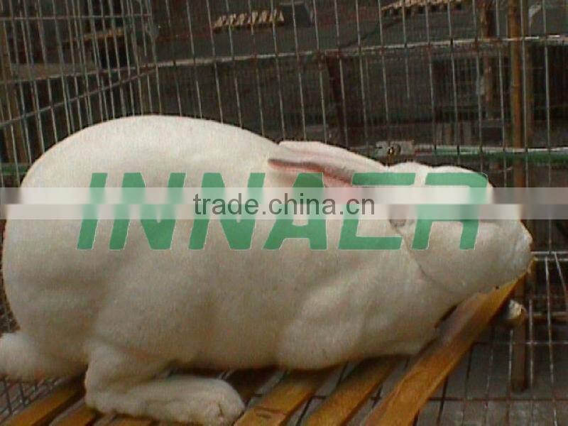 meat rabbit cages(Three layer * Three door)