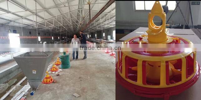 automatic feeders for poultry chickens