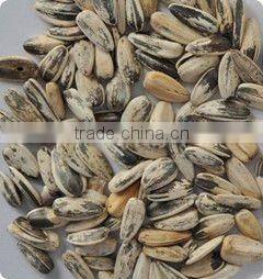 CCD sunflower seeds color sorter, get highly praise by customers