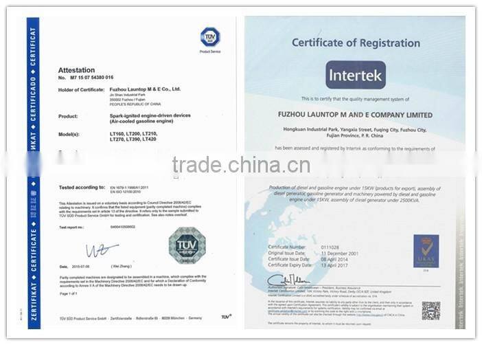 13HP LT390 mini 300cc 4 stroke engine