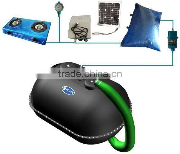 Excellent Biogas stove double burner