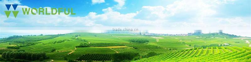 High Quality Organic Fertilizer Amino Acid with NPK 16-0-1