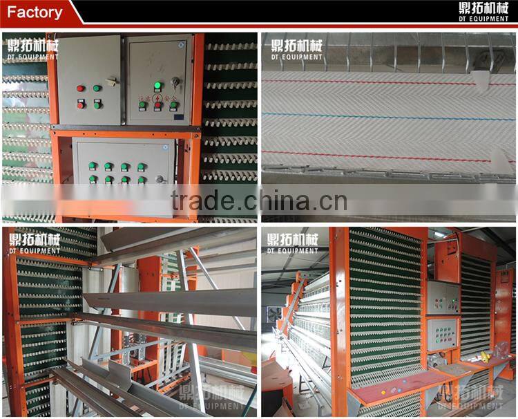 Egg belt imported from Italy automatic egg collection