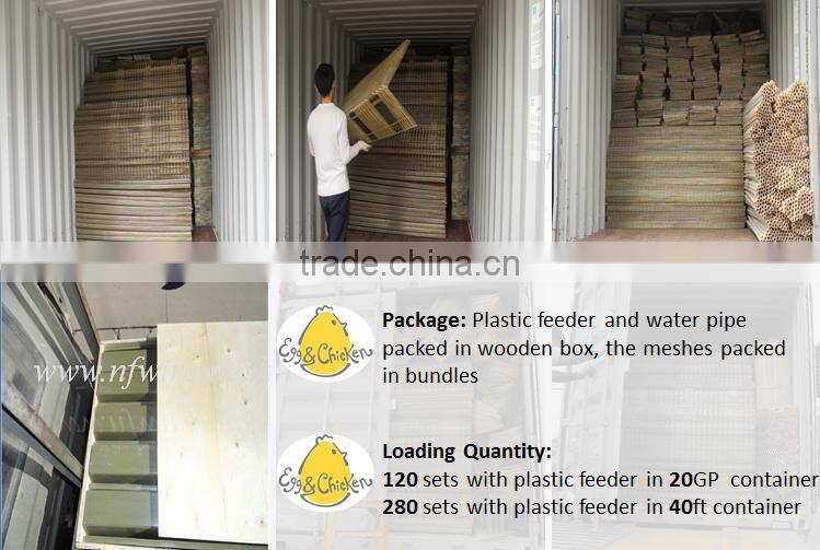 Canton Fair chicken layer cage and poultry equipment supplier manufacturer (Guangzhou Factory)