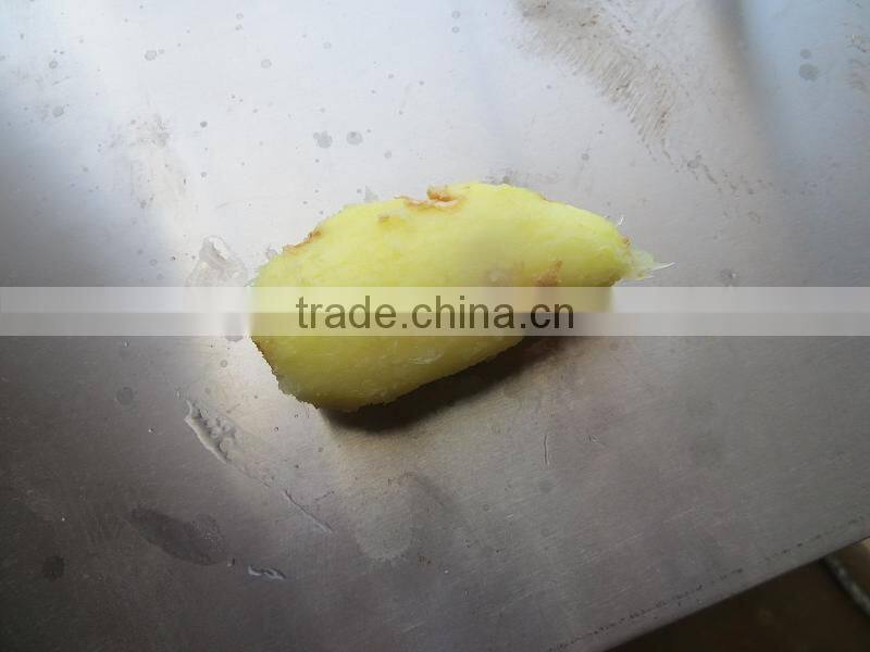 junlan machinery 450 model stainless steel potato ginger peeling machine +8618637188608