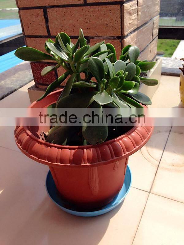 fashion uesful flower pots,garden hot pot