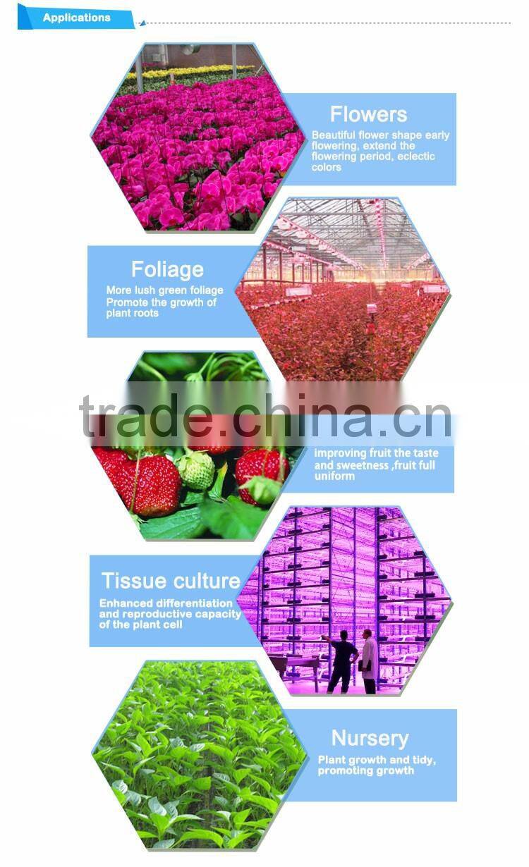 Save 30% high quality 5w chip kits 240w full spectrum led grow light