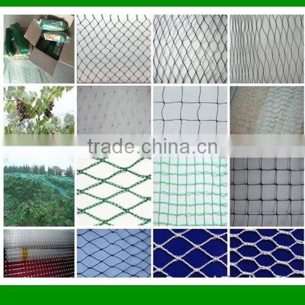 UV stablized BOP material strech net plant climbing mesh net